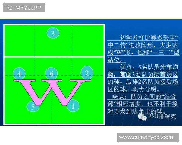 武汉排球队进攻战术解析与实战应用深度分析